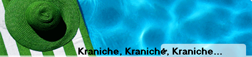 Kraniche, Kraniche, Kraniche...